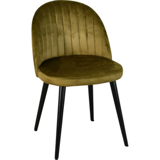 Denguin chair in solid beech for a professional interior.