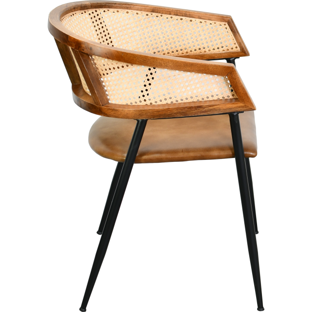 Stalen leren fauteuil MOIRON