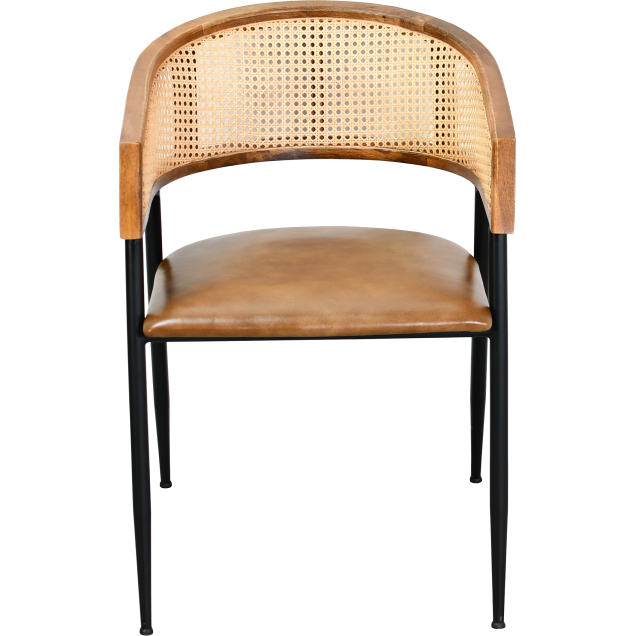 Stalen leren fauteuil MOIRON