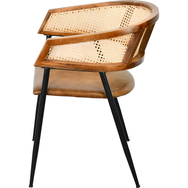 Stalen leren fauteuil MOIRON
