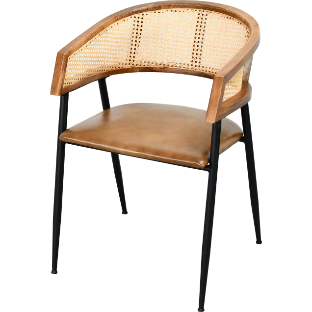 Stalen leren fauteuil MOIRON