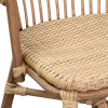 FRIZON aluminum wicker nylon chair