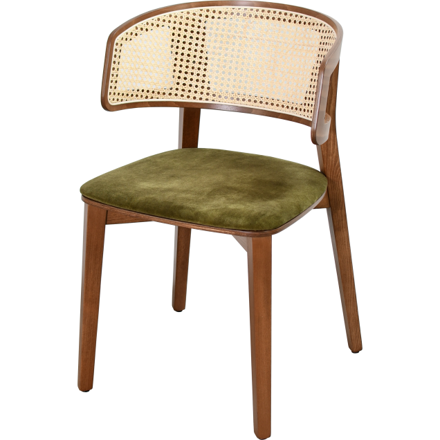 Fauteuil BRASSY hêtre massif garnie 