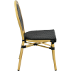 ROUBIA Aluminum and Rattan Terrace Bistro Chair with Medallion